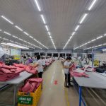 Công
                            bố TT Thông báo phát hành cổ phiếu theo chương trình lựa chọn cho người lao động