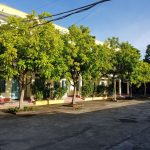 Công bố thông tin Báo cáo thường niên năm 2024